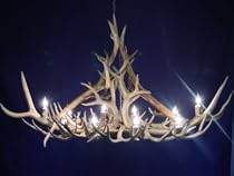 Antler Deer Lighting - 10 Lite Oval Elk-Mule Deer Chandelier