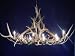 Antler Deer Lighting - 10 Lite Oval Elk-Mule Deer Chandelier