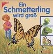 Ein Schmetterling wird gro�