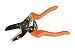 Outdoor Living : Anvil Secateurs
