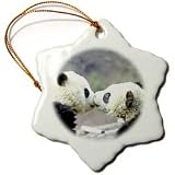 Wild animals - Baby Pandas - Ornaments