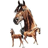 Arabian Adult T-Shirt