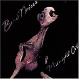 Bird Noises - Midnight Oil