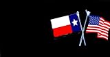 Airbrushed License Plate - American/Texas Flag License Plate - #868