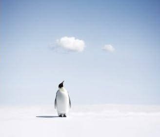 Cloud Computing: A Practical Introduction to the Legal Issues
