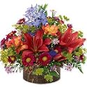 Lilies - Central Park(Valentines Offer: Free Shipping)