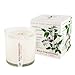 Wild Tomato Vine Soy Candle with Plantable Box