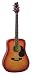 Montana MT105-CB Dreadnought Acoustic Guitar