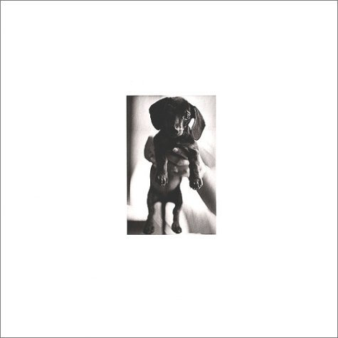 Dogtionary: Meaningful Portraits of Dogs