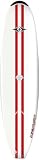 BIC Sport ACS Natural Surfboard