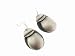 Beetle Earrings in Silver by Ten Thousand Things