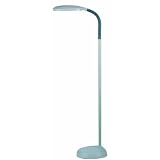 Grandrich ES-101 Full Spectrum One-Light Floor Lamp, Gray