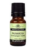 Palmarosa 100% Pure Essential Oil - 10 ml