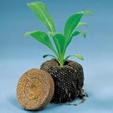 Seed Starting - Park's One-Step Seed Starter