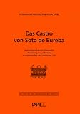 Das Castro von Soto de Bureba: Arch&auml;ologische und historische Forschungen zur Bureba in vorr&ouml;mischer und r&ouml;mischer Zeit - Hermann Parzinger, Rosa Sanz