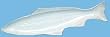 White Fish Ceramic Pottery Mackerel Extra Large Tray 23 1/2"x6 1/2"x1 1/2"