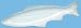 White Fish Ceramic Pottery Mackerel Extra Large Tray 23 1/2"x6 1/2"x1 1/2"