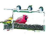 Duncraft Cardinal Classic Feeder To Hang