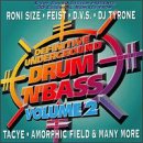 Drum 'N' Bass, Vol. 2