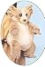 Plush Bushbaby Backpack 16