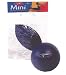 FitBall Mini