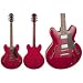 Search : Brownsville GG5 Semi-Hollow Body Electric Guitar
