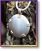 Bioelectric Shield - Sterling Silver with Brass Accents - Satin Brush Finish
