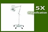 Magnifier for Head Lice x 5