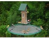 Seed Hoop 30 In