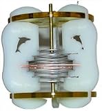 Aqua Chi Module