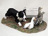 Border Collie MyDog-Special Edition