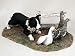 Border Collie MyDog-Special Edition