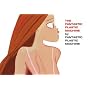 Fantastic Plastic Machine