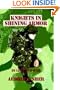 Knights in Shining Armor: In Love and War