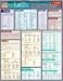 Latin Grammar: Reference Guide (Quickstudy: Academic)