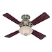 NEW 42 Nickel Ashlyn Ceiling Fan - 21879