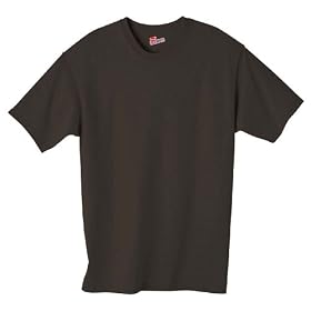 Hanes Tagless Cotton T-Shirt (5250) Tee Available in 40 Colors