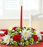 Christmas Flowers