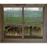 2 Barn