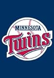 Minnesota Twins Garden / Window Flag