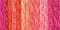 Yarn Softee Chunky-Carnival