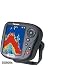 Raymarine Ds500x Display Only