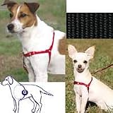 Pet Supplies : Premier Gentle Leader Easy Walk Black Harness for Dogs, Medium