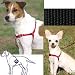 Pet Supplies : Premier Gentle Leader Easy Walk Black Harness for Dogs, Medium