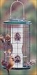 Varicraft 2qt Mixed Seed Feeder With Wire Cage