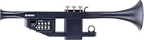 YAMAHA �C�[�W�[�M�^�[ Acoustic EZ-AG