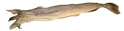 Stock Fish, approx. 2.2-2.5lb - Whole or Cut