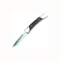 Buck 503 Prince Lockback Folding Knife