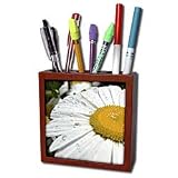 Patricia Sanders Flowers - Daisies in Water Drops - Tile Pen Holders-5 inch tile pen holder