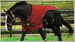 TuffRider 600 D Stretch Manager Thermolined Blanket
